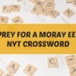 Prey for a Moray Eel: NYT Crossword Clue Explained