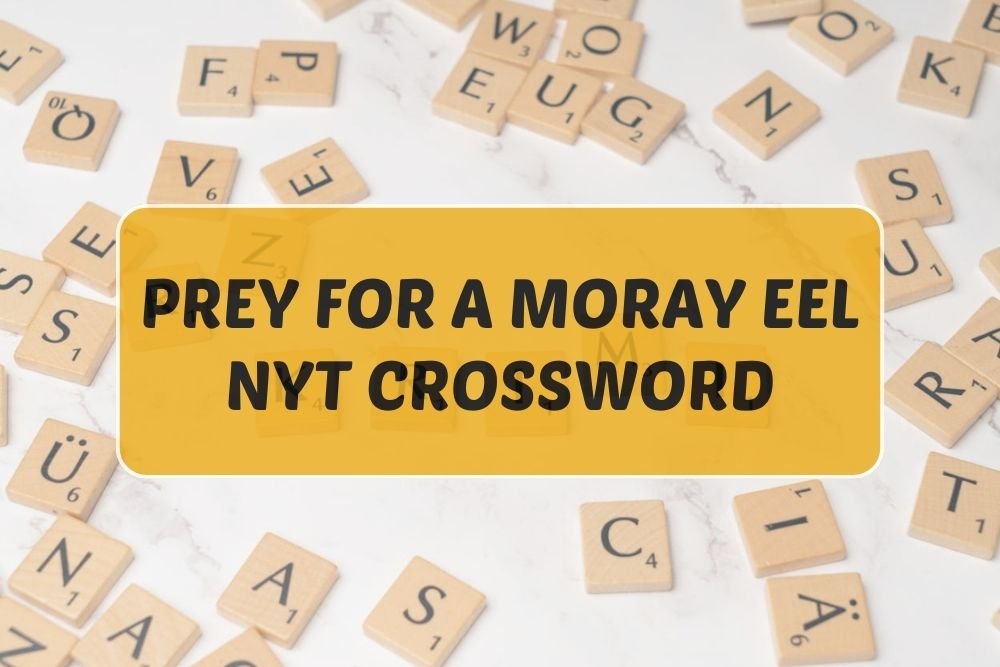 prey for a moray eel nyt crossword